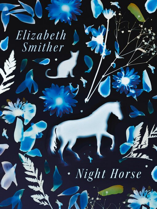 Title details for Night Horse by Elizabeth Smither - Available